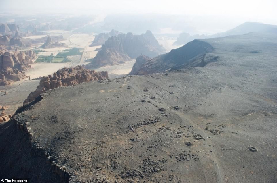 بزرگراه مردگان