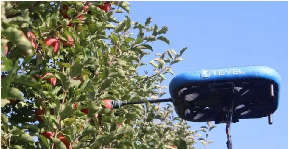 پرواز ربات‌های میوه چین/ راه حل هوش مصنوعی برای کمک به کشاورزان