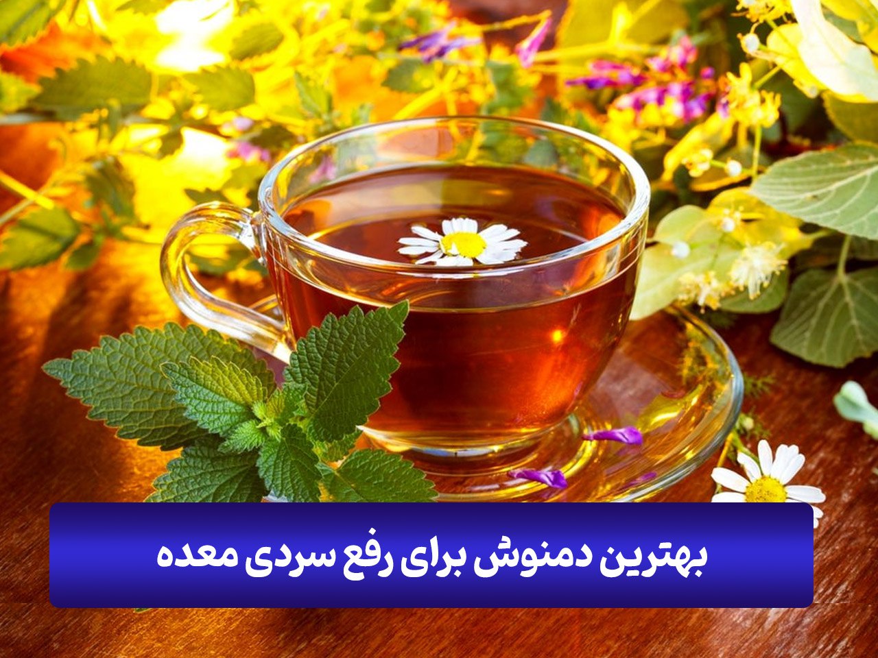 دمنوش برای سردی معده