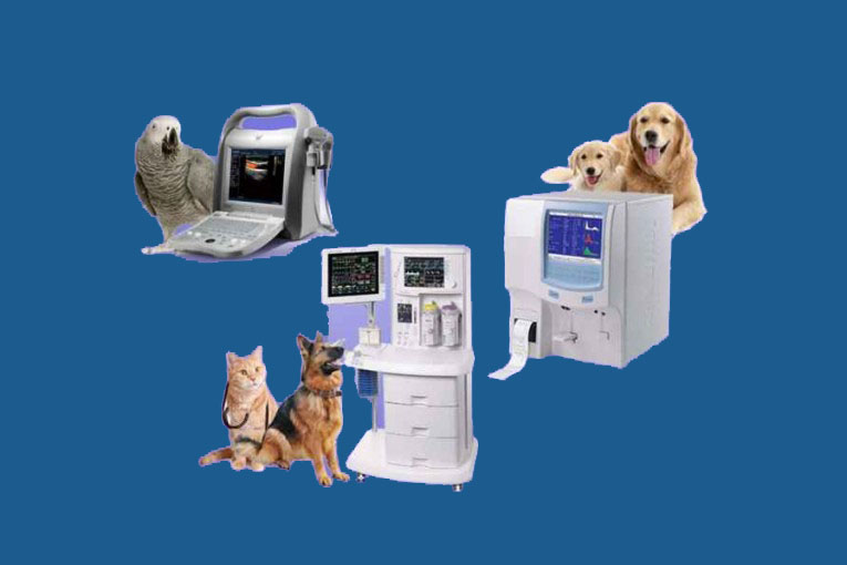 تجهیزات دامپزشکی پرکاربرد در مطب و کلینیک