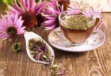 تاثیر امیدوارکننده عصاره های گیاهی بر ویروس کرونا