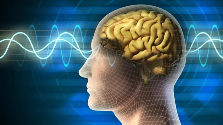 مغز انسان چگونه کار میکند؟