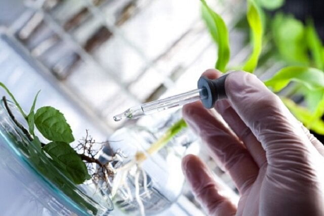 تشکیل کنسرسیوم‌های تخصصی برای تنوع‌بخشی به سبد گیاهان دارویی و طب سنتی