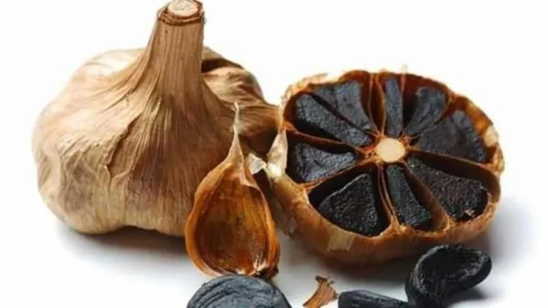سیر سیاه چیست
