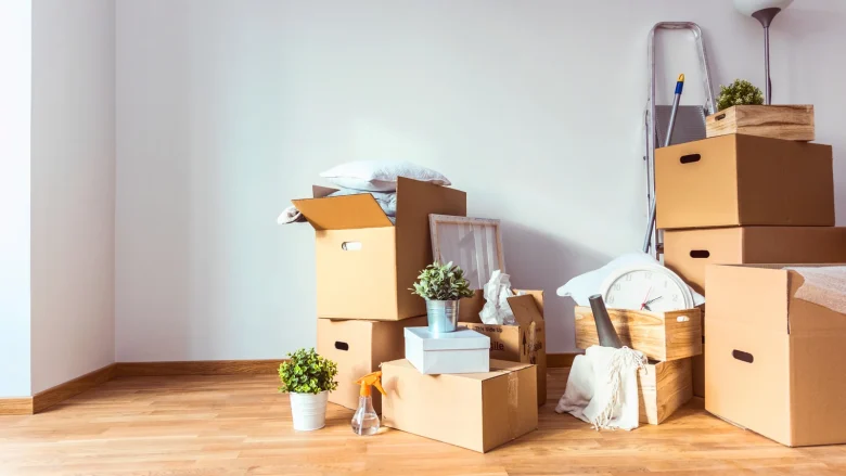 Creativity in furniture