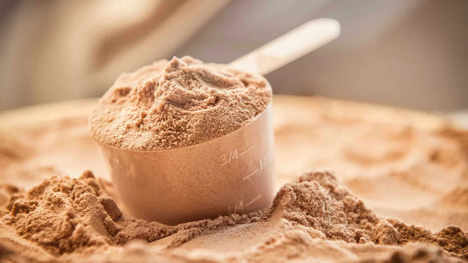 The difference between whey protein and casein, which is better?