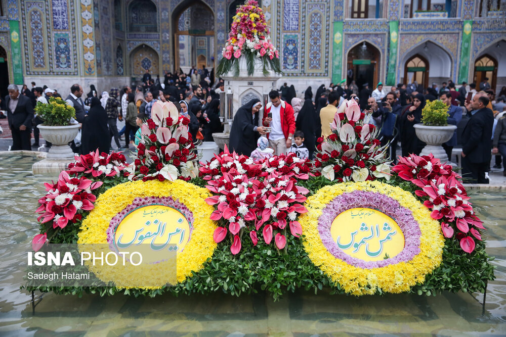 شستوشو و پرداخت ضریح مطهر رضوی در آستانه میلاد امام رضا(ع)